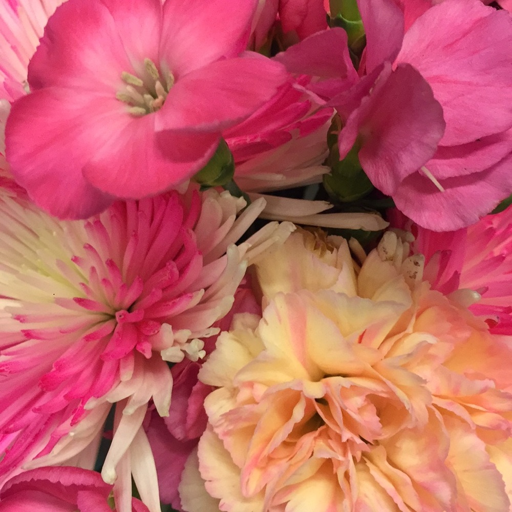 Meet your Posher, Pamela